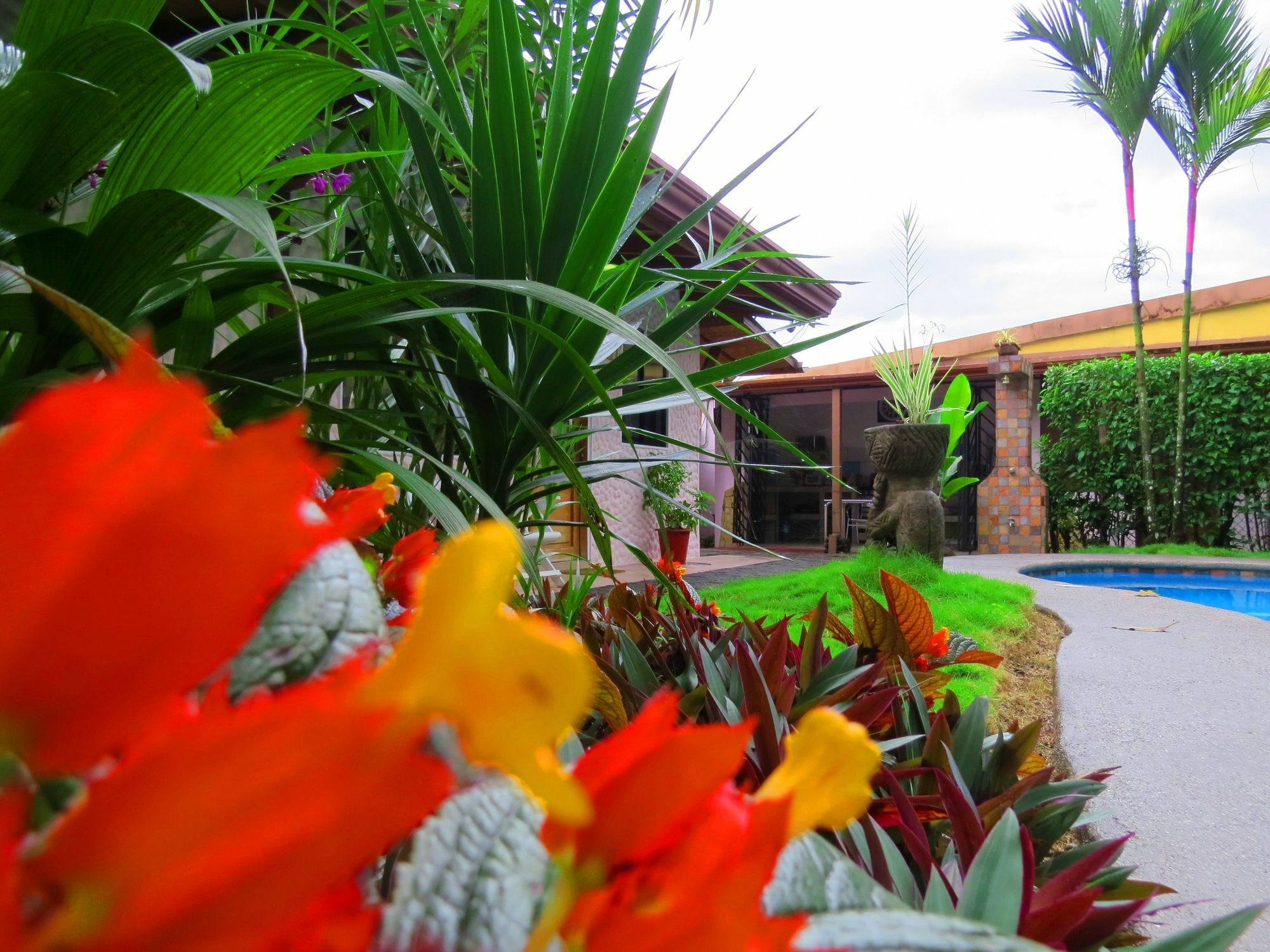 Hotel Vagabondo La Fortuna Exteriér fotografie